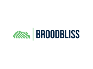 broodbliss- your parenting companion